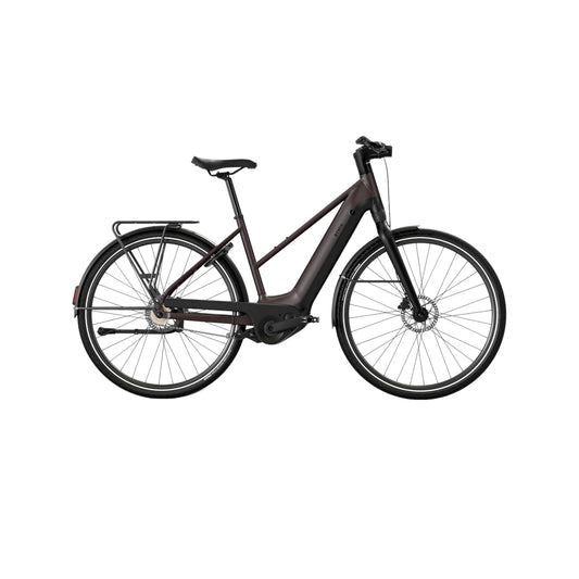Bici da Città Classiche e Lunga Distanza